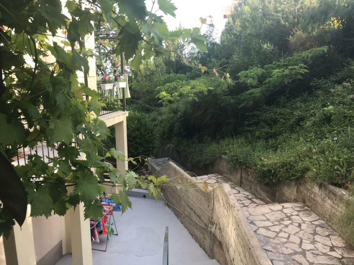 Apartments Petkovic Petrovac Exterior photo